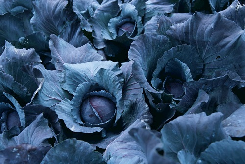 土壤水分快速測定儀的使用，它都有哪些注意事項