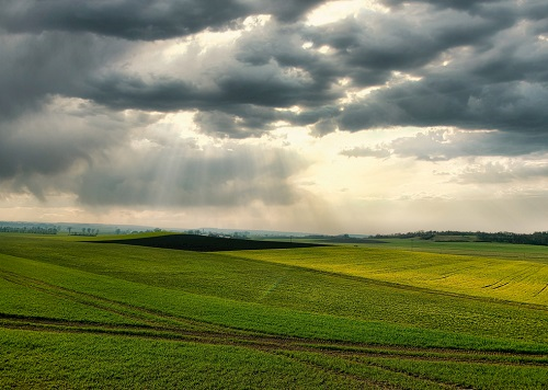 土壤水分快速測定儀的使用，它都有哪些注意事項