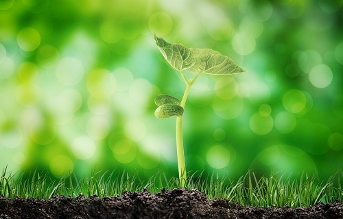 土壤重金屬檢測儀不采土樣也能檢測?如何做好土壤重金屬檢測與修復(fù)工作