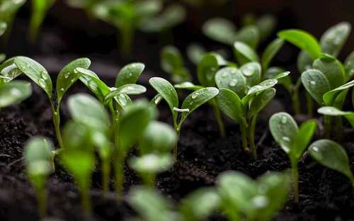 目前土壤重金屬檢測都用什么儀器？用土壤重金屬檢測儀