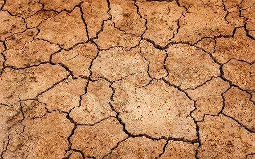 土壤肥料養(yǎng)分測定儀，科學(xué)施肥需要掌握有效的施肥技術(shù)