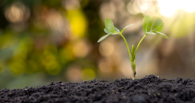 土壤養(yǎng)分檢測儀可以為不同作物生長提供指導施肥方式！