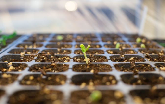 土壤養(yǎng)分檢測儀是什么？土壤養(yǎng)分檢測儀促進種植行業(yè)的發(fā)展