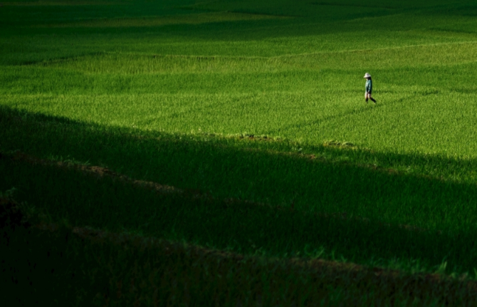 自動(dòng)報(bào)警裝置功能的土壤墑情監(jiān)測(cè)系統(tǒng)的優(yōu)勢(shì)