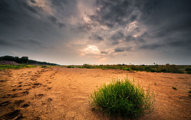 什么叫土壤肥力？土壤肥力檢測(cè)儀識(shí)別土壤肥力的高低