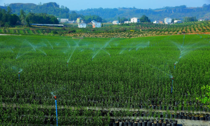 利用土壤水分測(cè)定儀實(shí)現(xiàn)精準(zhǔn)灌溉，按需灌溉