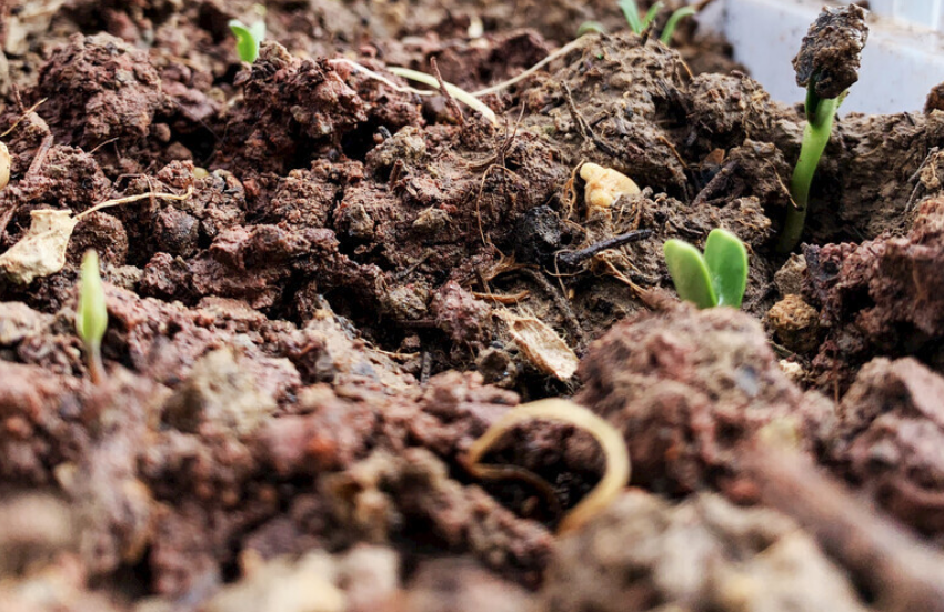 土壤好壞看團(tuán)粒結(jié)構(gòu)，土壤團(tuán)粒結(jié)構(gòu)分析儀助力土壤改良